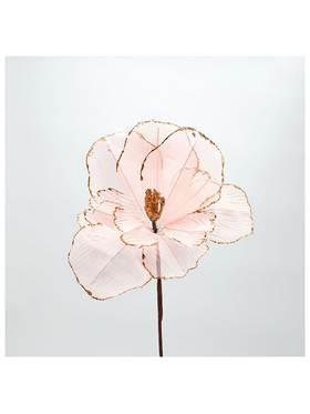 Ανεμωνη, Ροζ, 26x45cm