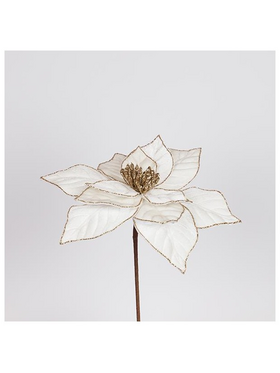 Αλεξανδρινο Ιβουαρ, 30x44cm