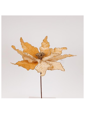 Λουλουδι, Grande, Σαμπανι, 44x50cm