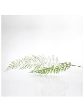 Κλαδι Φτερη, Μεντα, 92cm