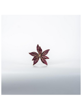 Βελουδινο Λουλουδι, Μπορντω, 20cm