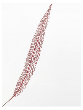 Φτερο Κοκκινο, 115cm