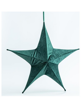 Βελουδινο Αστερι, Πρασινο, 40cm