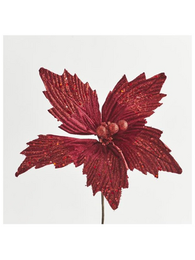 Αλεξανδρινο, Μπορντο, 30cm