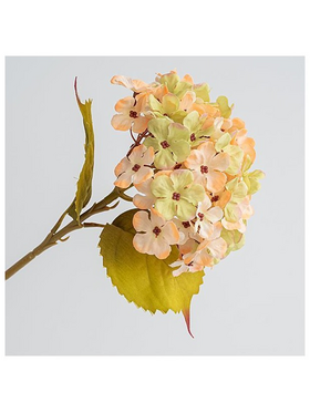 Ορτανσια, Μπεζ, 17x45cm