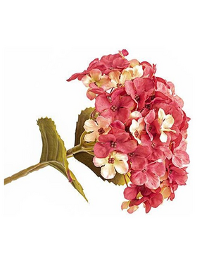 Ορτανσια, Μπορντω, 17x45cm