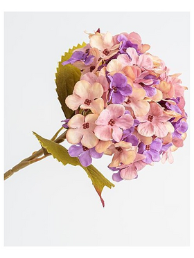 Ορτανσια, ροζ-Μωβ, 17x45cm