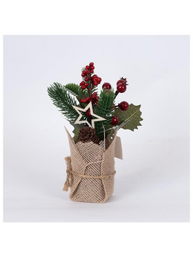 Display Box, Γλαστρακι με Αστερακι και Κοκκινα Berries, 12tmx, 22cm