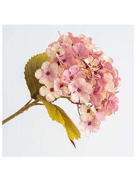 Ορτανσια, Μπεζ-Ροζ, 17x45cm