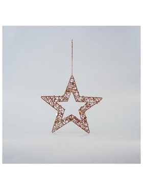 Αστερι με Παγιετες, Σαμπανι, 25cm