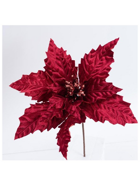 Βελουδινο Αλεξανδρινο Μπορντο, 31cm