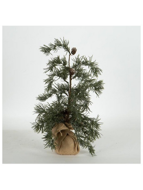 Δεντρακι Ιτια, 44cm