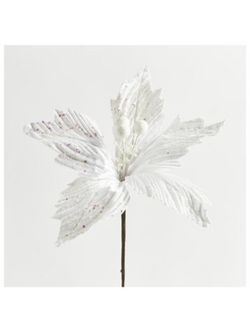 Αλεξανδρινο, Ασπρο, 30cm