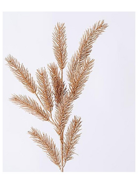 Κλαδι, Σαμπανι, 74cm