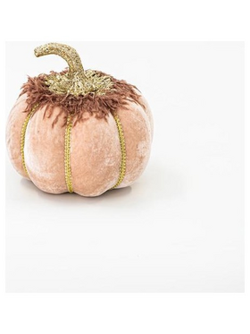 Βελουδινη Κολοκυθα, Σομον, με Χρυσο Γκλιτερ, 20cm