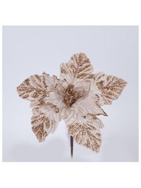 Αλεξανδρινο, Σαμπανι, με Λευκους Ανθηρες, 22cm