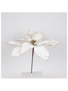 Αλεξανδρινο Grande, Ιβουαρ, 50x45cm