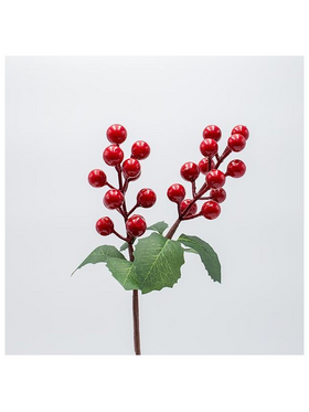 Πικακι με Κοκκινα Berries και Πρασινα Φυλλα, 30cm