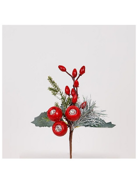 Πικακι με Κοκκινα Cranberries, 20cm