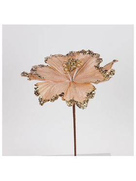 Μανολια Σομον με Σαμπανι Λεπτομερειες, 26x45cm