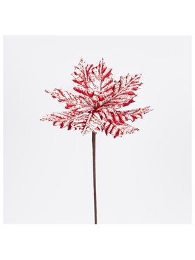 Αλεξανδρινο Candy, Παγωμενο, 27x45cm