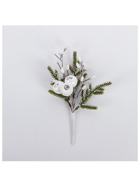 Πικακι με Λευκα Cranberries kai Berries, 20cm