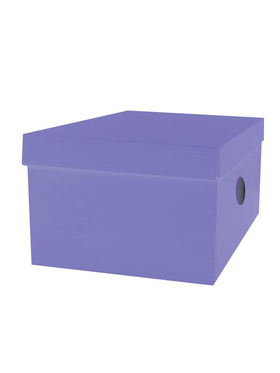 Κουτί Αποθήκευσης the Littlies Χαρτόνι σε 6 Χρώματα, 33x24x18 εκ.