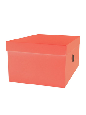 Κουτί Αποθήκευσης the Littlies Χαρτόνι σε 6 Χρώματα, 33x24x18 εκ.