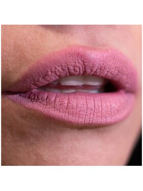 Lorin Kissproof Velvet Matte Lip