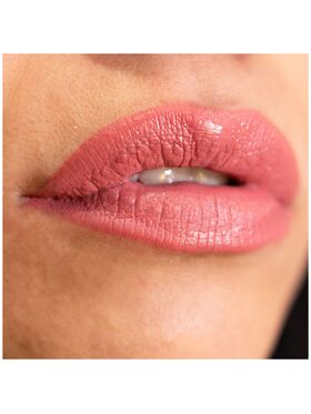 Lorin Kissproof Velvet Matte Lip