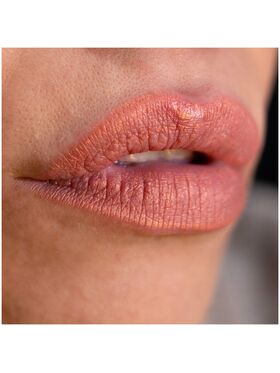Lorin Kissproof Velvet Metallic Matte Lip