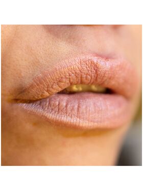 Lorin Kissproof Velvet Metallic Matte Lip
