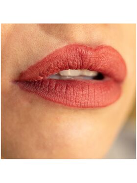 Lorin Kissproof Velvet Matte Lip