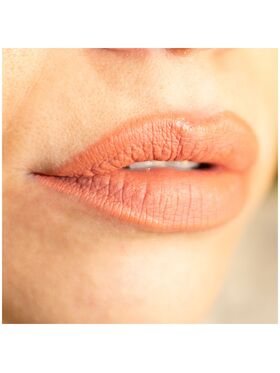 Lorin Kissproof Velvet Matte Lip