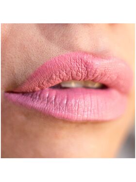 Lorin Kissproof Velvet Matte Lip