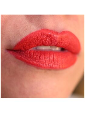 Lorin Kissproof Velvet Matte Lip