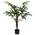 Φυτό σε Γλάστρα Emeric Pakoworld 15x13x120εκ