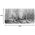 Πίνακας σε Καμβά Fortree Inart 120x3x60εκ