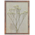Πίνακας με Πλαίσιο Floren Pakoworld 29x2.3x39εκ