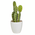 Click Τεχνητό Φυτό σε Γλαστράκι Λευκό/Πράσινο 20cm σε Διάφορα Σχέδια 6-85-508-0007