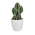 Click Τεχνητό Φυτό σε Γλαστράκι Λευκό/Πράσινο 20cm σε Διάφορα Σχέδια 6-85-508-0007