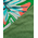 Ble Πετσετα Θαλασσης Διπλης Οψης Πολυχρωμη με Φυλλα 100x180 (100% Cotton)