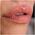 Lorin Kissproof Velvet Metallic Matte Lip