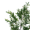 Διακοσμητικό Φυτό Olive Tree i σε Γλάστρα Inart Πράσινο pp Υ150εκ