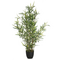 Φυτό σε Γλάστρα Green10 Pakoworld 63x55x90εκ