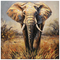 Πίνακας σε Καμβά Elepho Inart 100x3x100εκ