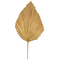 Διακοσμητικό Φύλλο Walsy Inart Palm Leaf σε Φυσική Απόχρωση Υ135 εκ