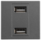 Πριζα 2 χ usb Modules Γραφιτης