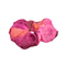 Ble Scrunchie σε Μωβ/ροζ Χρωμα με Χρυσες Λεπτομερειες